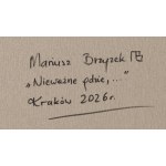 Mariusz Brzyzek (ur. 1984, Rabka Zdrój), Nieważne gdzie,..., 2026