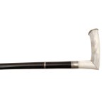 Walking stick with integrated blade