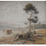 Harvest, František Daněk - Sedláček