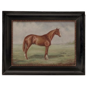 Stallion Tiber, Gino Karolyi