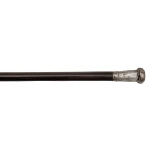Walking stick