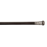 Walking stick