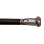 Walking stick