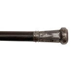 Walking stick