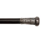 Walking stick