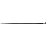 Walking stick
