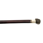 Walking stick with hidden blade