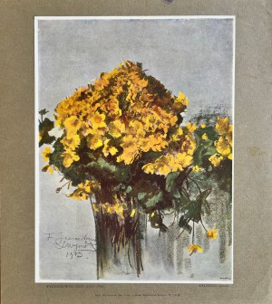Leon Wyczółkowski (1852-1936), Kaczeńce