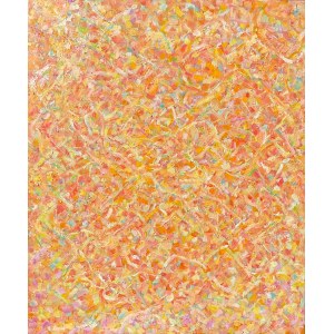 Michal Kostewicz, Lauf zur Sonne 2025
