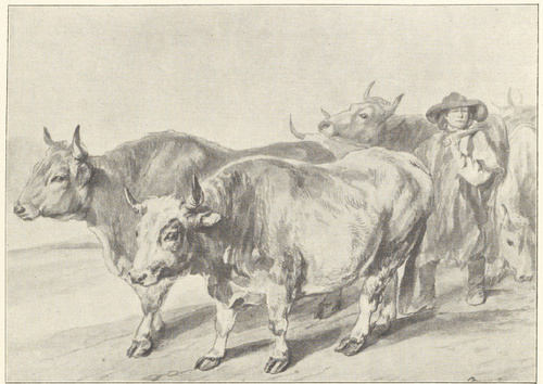 WOŁY (akwarela) 1840-1845 (WŁASNOŚĆ p. D-RA EMILA MERWINA)