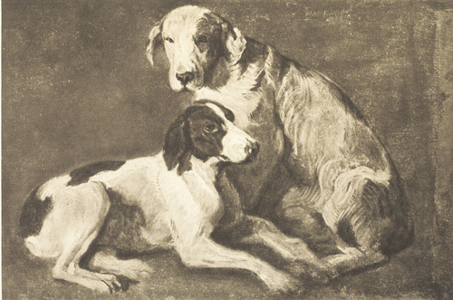 DWA PSY. Ol. na pł. (1837-1840)?. Własność Muz. Belvedere we Wiedniu.
