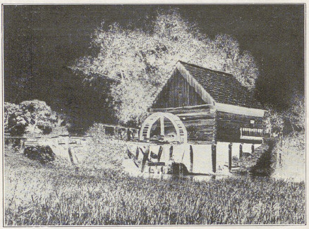 Fig. 22. Negatyw.