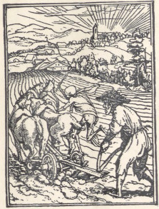 HANS HOLBEIN. TANIEC ŚMIERCI - ŚMIERĆ I ROLNIK