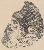 Ilustracja 56.