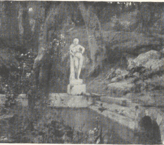 SADZKAWKA FAUNA