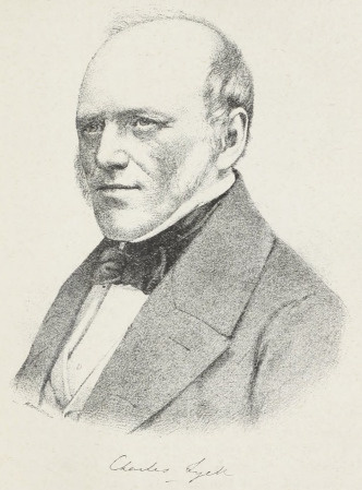 Portret