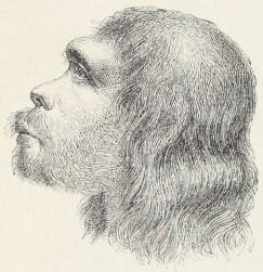 Odtworzona głowa człowieka z wykopalisk w Neanderthal.