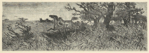 llustracya do »Mazepy« Byrona