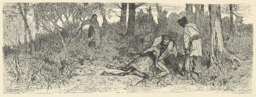 Ilustracya do »Mazepy« Byrona