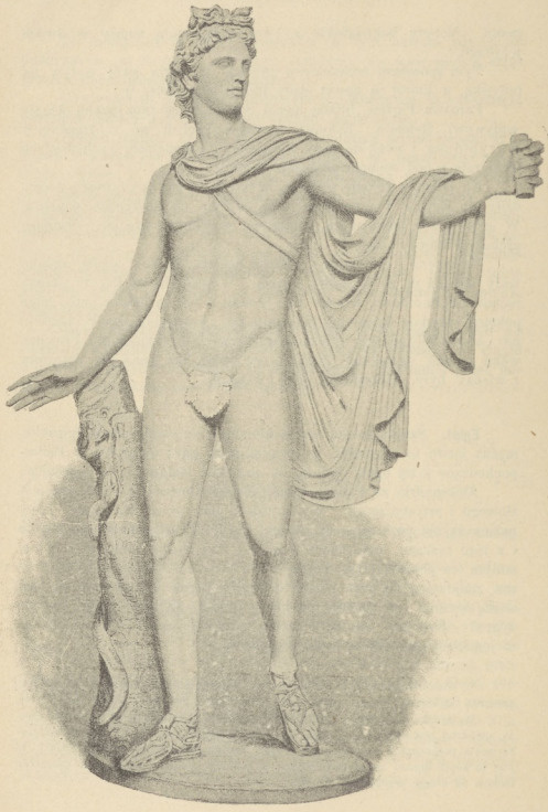 Rys. 25. Apollo belwederski.