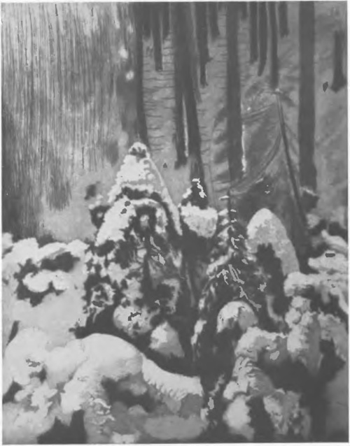 LEON WYCZÓŁKOWSKI, Z TEKI TATRZAŃSKIEJ (akwatinta z akwaforta, 1906).