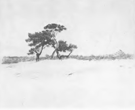 LEON WYCZÓŁKOWSKI Z TEKI LITEWSKIEJ (litogr. kreda na kamieniu. 1907).