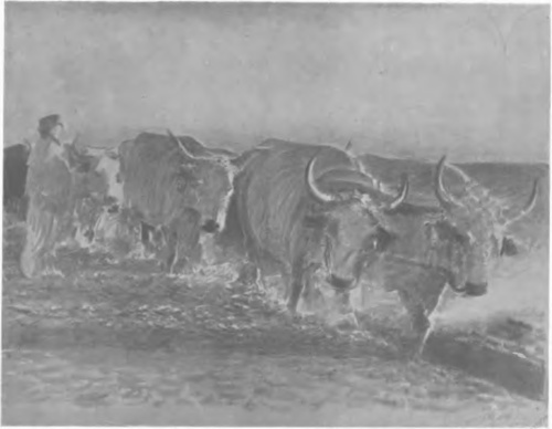 LEON WYCZÓŁKOWSKI ORKA NA UKRAINIE (litogr., 1913).