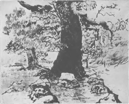 LEON WYCZÓŁKOWSKI, STARY SUCHAR (litogr., sposób pędzlowy, 1924).