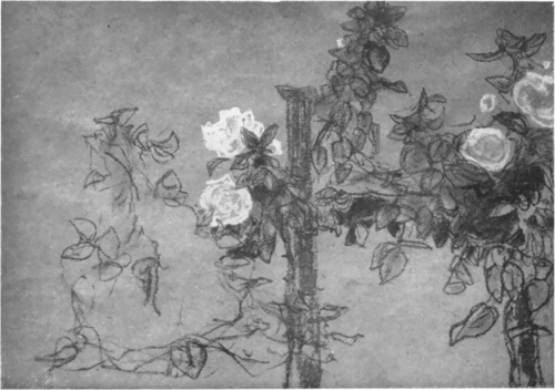 JAN STANISŁAWSKI, RÓŻE (SIENIAWA NAD ROSJĄ (1904). (Własność Muzeum Narodowego. Kraków).