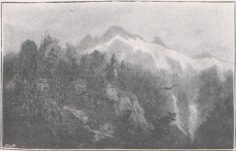 Schuppe. Łomnica.