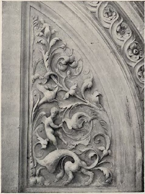 Fig. 24. Groteska z kaplicy Zygmuntowskiej.