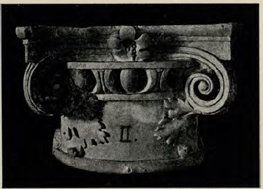 Fig. 63. Kapitel z zamku na Wawelu.