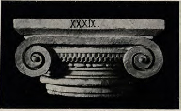 Fig. 66. Kapitel z zamku na Wawelu.