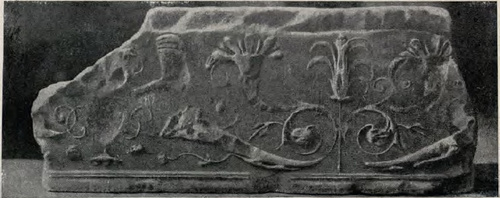 Fig. 78. Szczegół dekoracyi zamku na Wawelu.