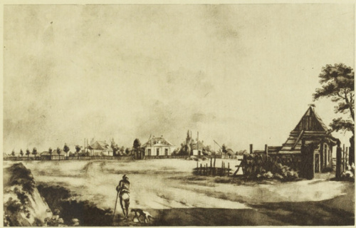 Widok Koszyk.
