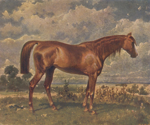 PORTRET KONIA (1860)