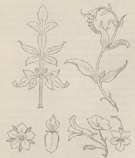 Fig. 37.