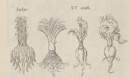 Fig. 38.