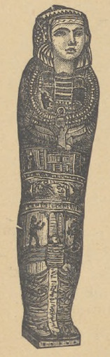 Fig. l. Mumja.