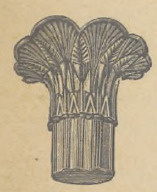Fig. 7. Głowica kolumny egipskiej w formie wiązki lotosu.