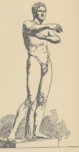 Fig. 20. Aoksyonfenes Lizypa.