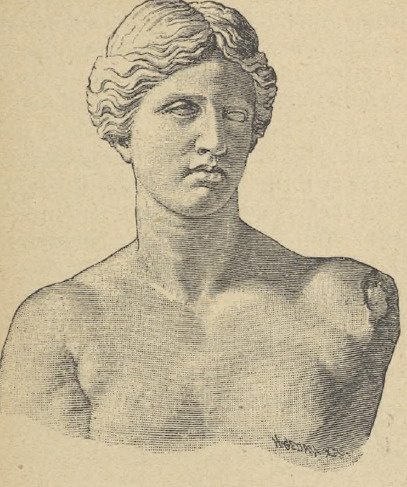 Fig. 21. Wenus Melijska (popiersie).