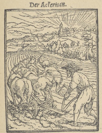 Fig 53. Hans Holbein młodszy. Rolnik (Z cyklu p. t. «Taniec Śmierci»).