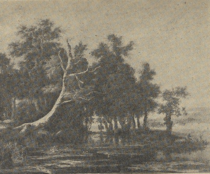 Fig. 32. Jacob van Ruysdael. Dęby. (Muzeum berlińskie).