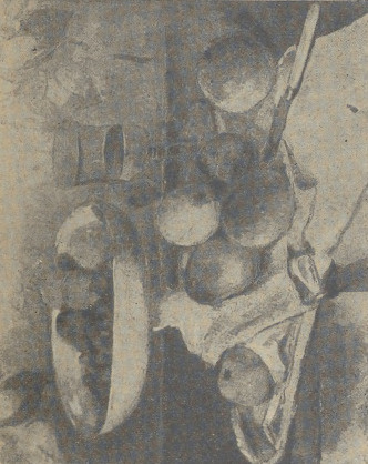 Fig. 72. Cezanne. Martwa natura.