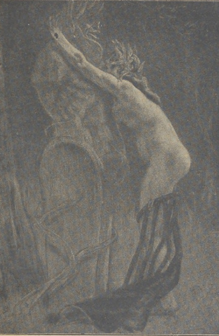 Fig. 82. Kops. Studjum. (Luksemburg).