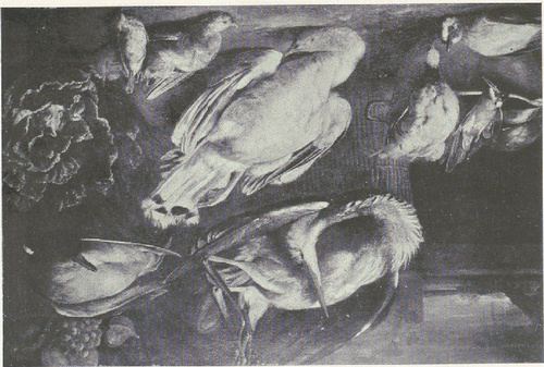 Nr 20. Baldassare de Caro
