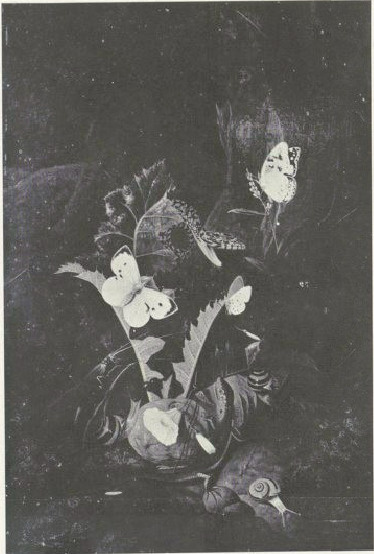 Nr 46. Charles William de Hamilton