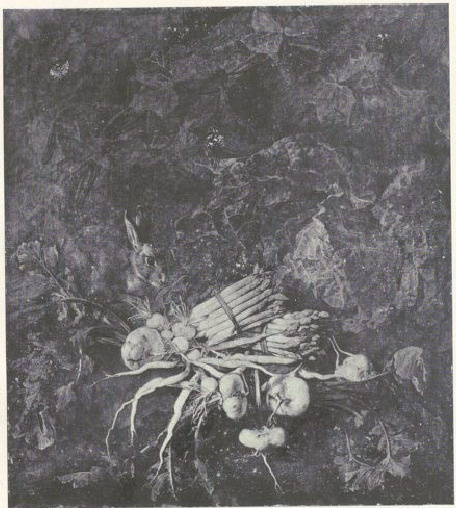 Nr 64. Jan van Kessel