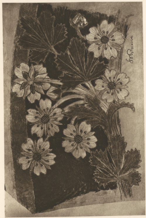 Jaskry, Motyw Dekoracyjny Pastel (r.1902—1903). Własność Marji Jasieńskiej we Lwowie.